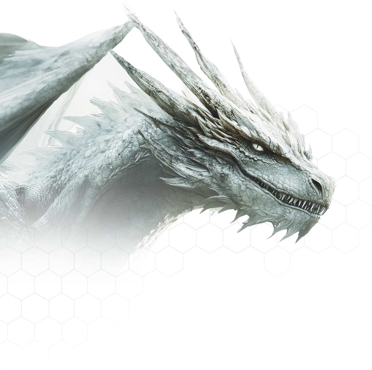 About White Dragon